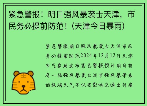 紧急警报！明日强风暴袭击天津，市民务必提前防范！(天津今日暴雨)