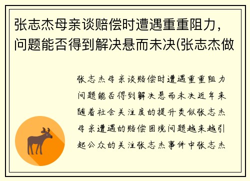 张志杰母亲谈赔偿时遭遇重重阻力，问题能否得到解决悬而未决(张志杰做客节目)