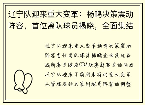 辽宁队迎来重大变革：杨鸣决策震动阵容，首位离队球员揭晓，全面集结备战新赛季