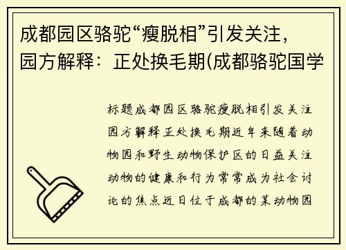 成都园区骆驼“瘦脱相”引发关注，园方解释：正处换毛期(成都骆驼国学老师简介)