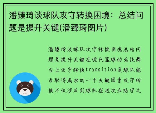 潘臻琦谈球队攻守转换困境：总结问题是提升关键(潘臻琦图片)